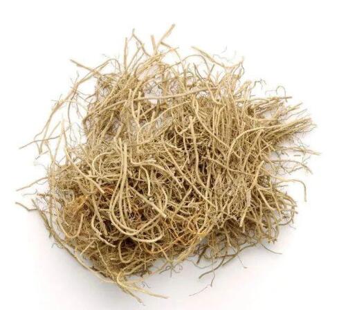 細(xì)辛(北細(xì)辛) ASARI RADIX ET RHIZOMA