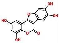 普菲德專(zhuān)題產(chǎn)品推薦-墨旱蓮系列(圖5)