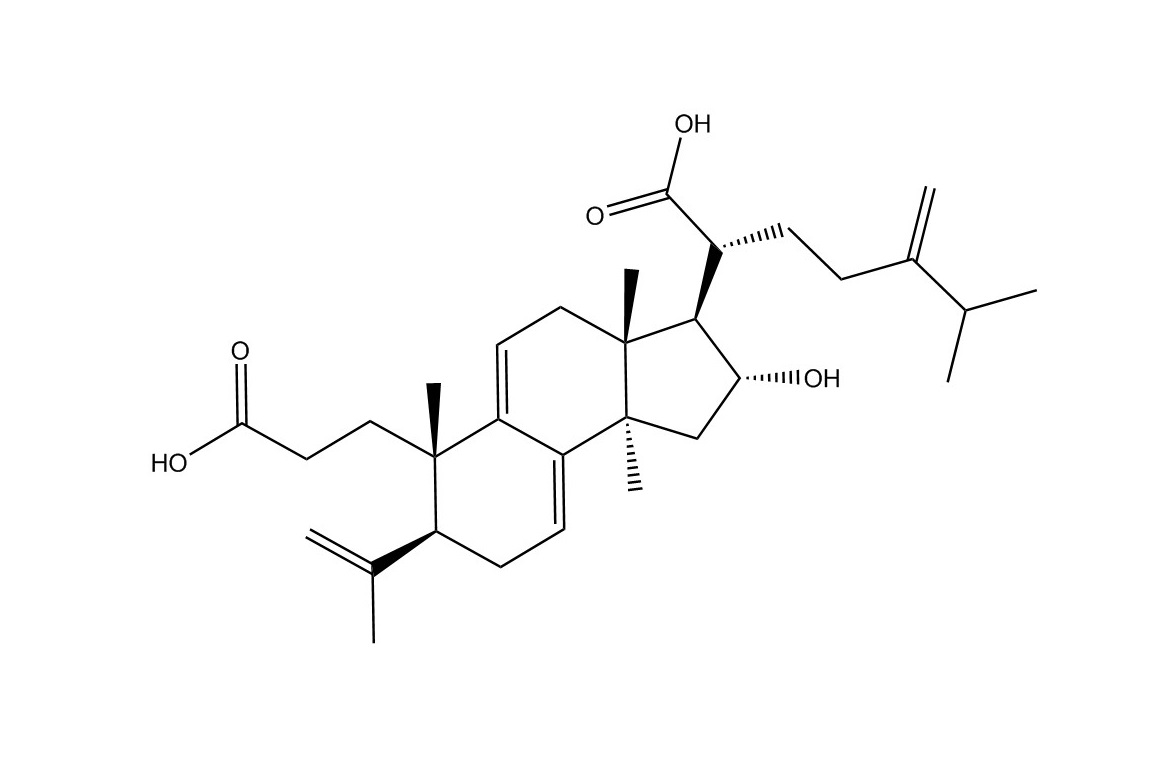茯苓新酸A|137551-38-3