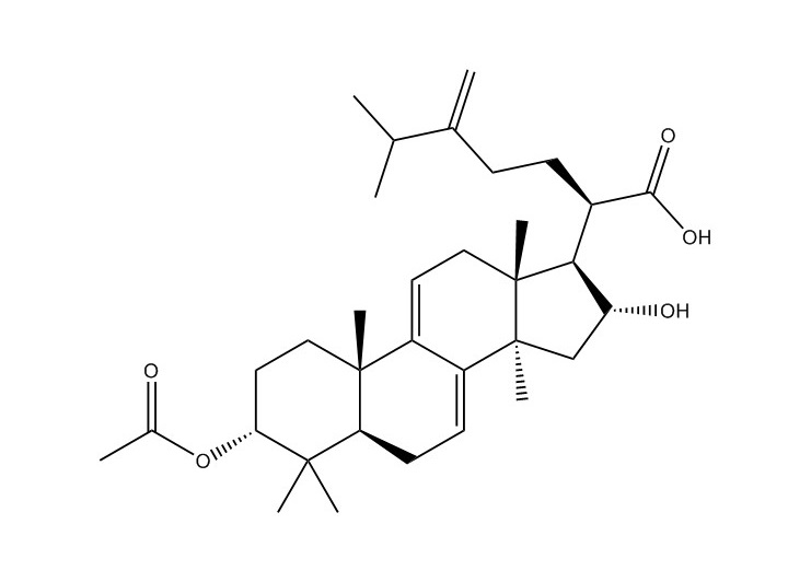 3-表去氫茯苓酸|168293-15-0